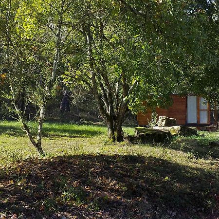 Agricampeggio Madonna Di Pogi Bucine الغرفة الصورة