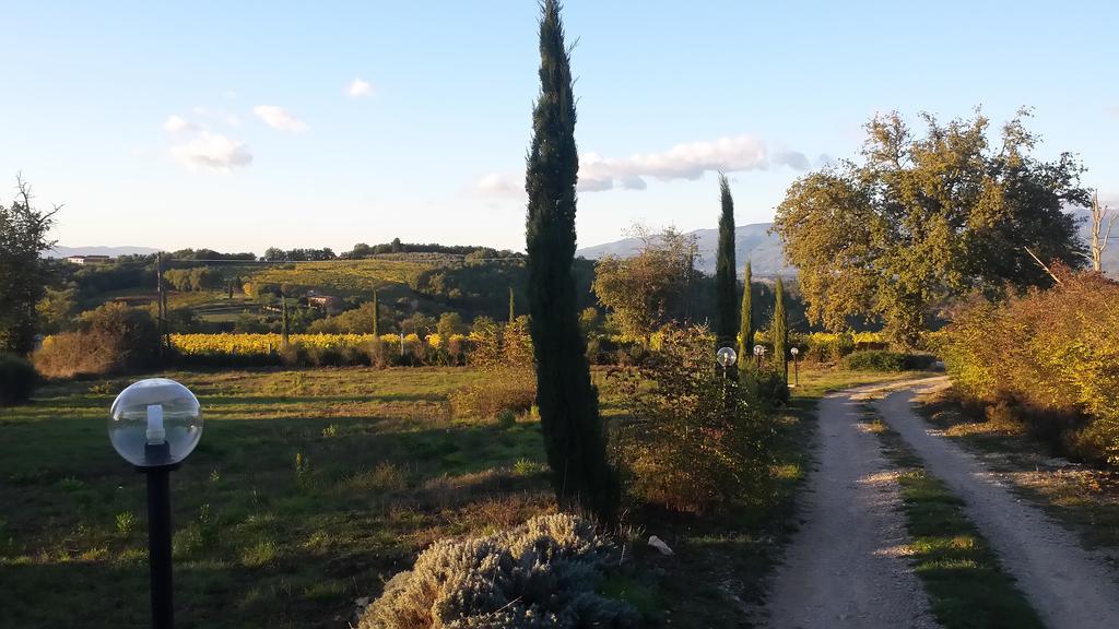 Agricampeggio Madonna Di Pogi Bucine المظهر الخارجي الصورة