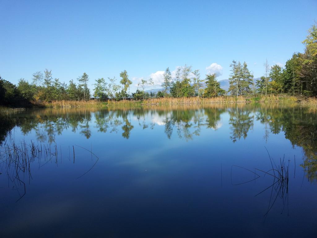 Agricampeggio Madonna Di Pogi Bucine المظهر الخارجي الصورة